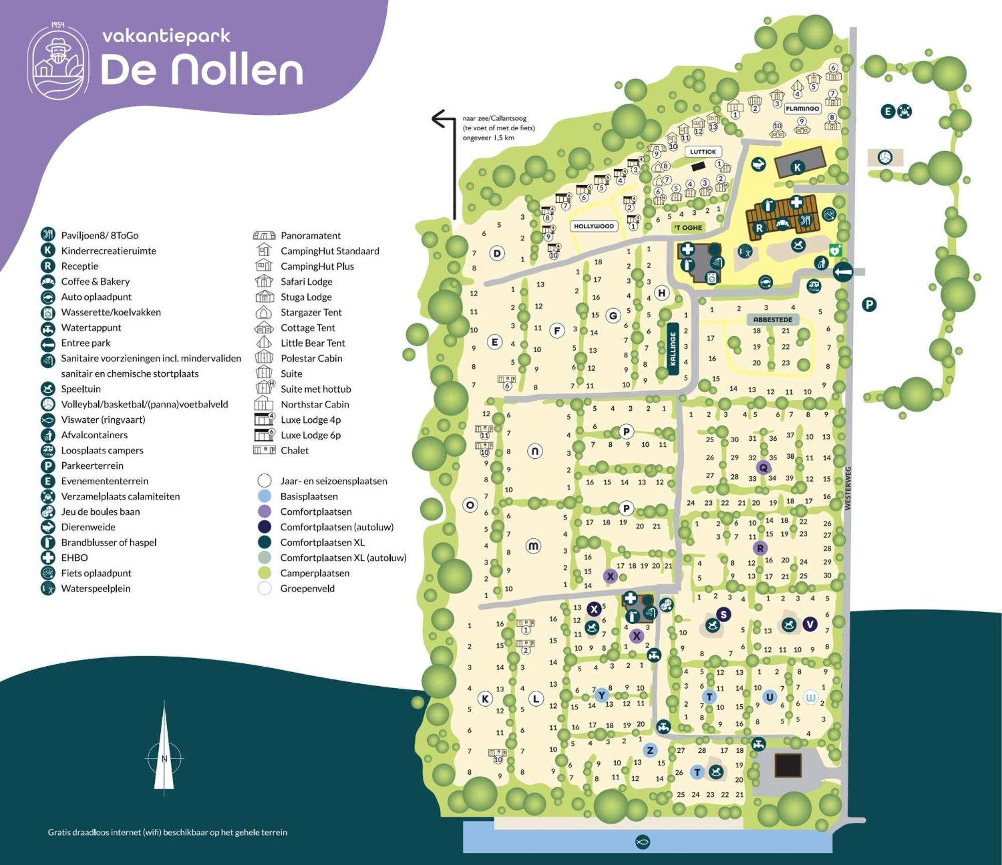 Stargazer Tent Met Sterrenuitzicht